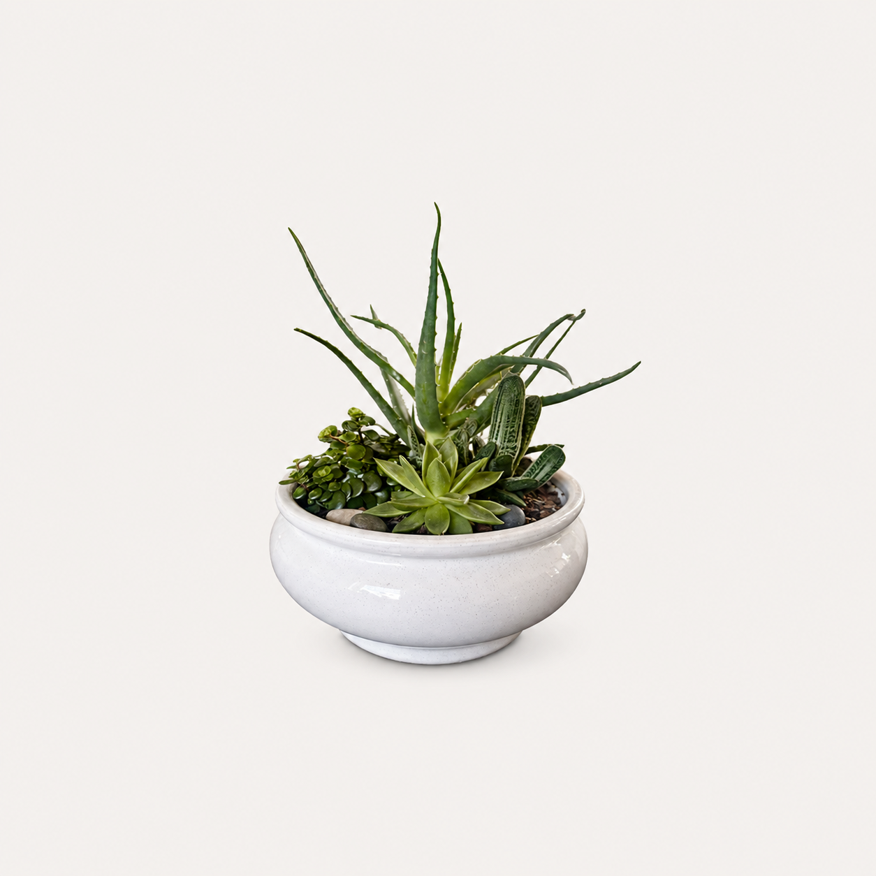 FLORISTENS VALG - SAMMENPLANTNING