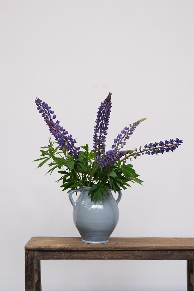 PROVENCE FARVERIG LERKRUKKE